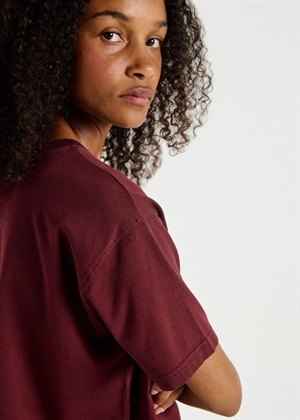 Fizvalley tee Bordeaux American Vintage 